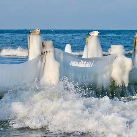 Geraeumige No 2 In Strandnaehe *