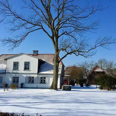 Geraeumige No 2 In Strandnaehe